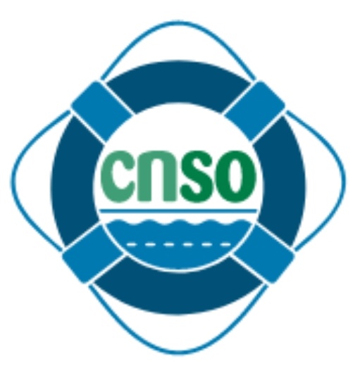 CNSO